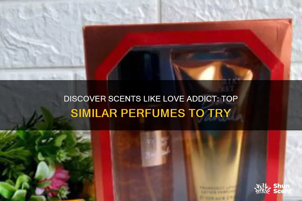 what perfume is similar to love addict