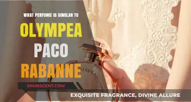 Discover Scents Like Olympéa: Top Perfume Alternatives to Try