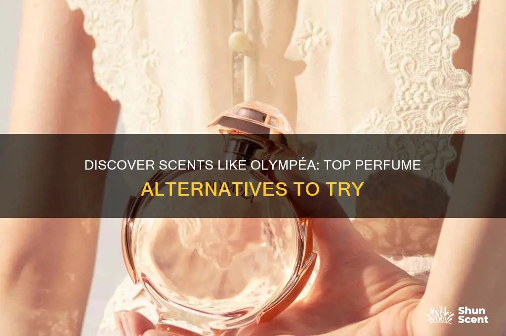 what perfume is similar to olympea paco rabanne