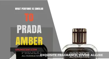 Discover Warm, Sensual Scents: Perfumes Similar to Prada Amber