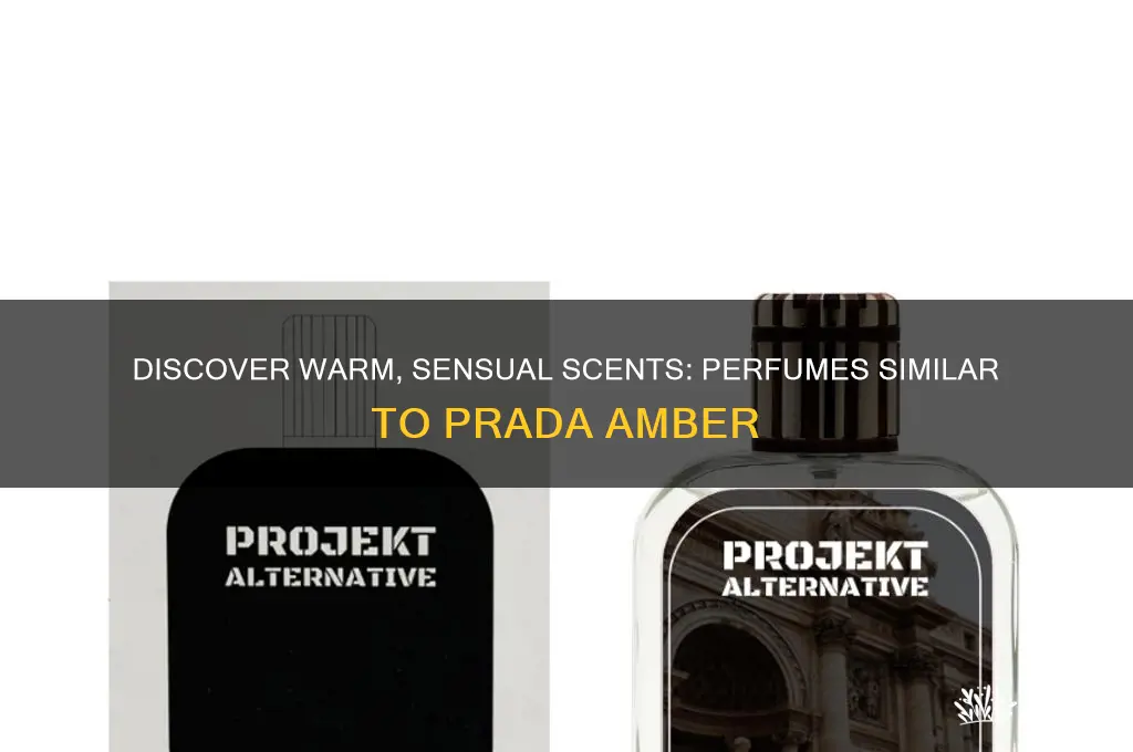 what perfume is similar to prada amber