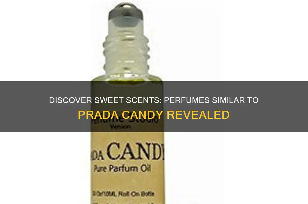 what perfume is similar to prada candy