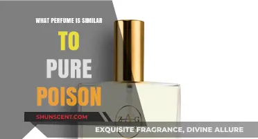 Discover Scents Like Pure Poison: Top Similar Perfumes to Try