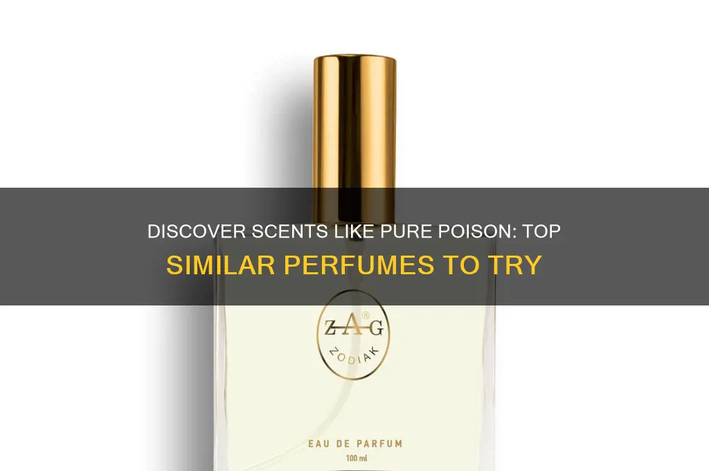 what perfume is similar to pure poison