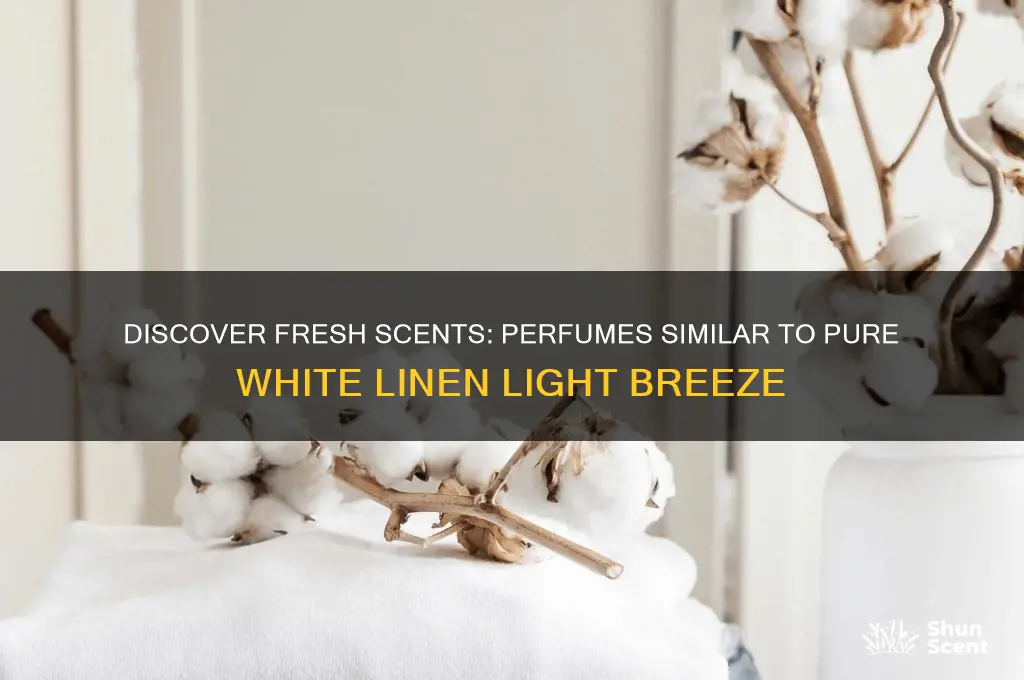 what perfume is similar to pure white linen light breeze