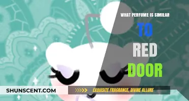 Discover Scents Like Red Door: Top Similar Perfumes to Try