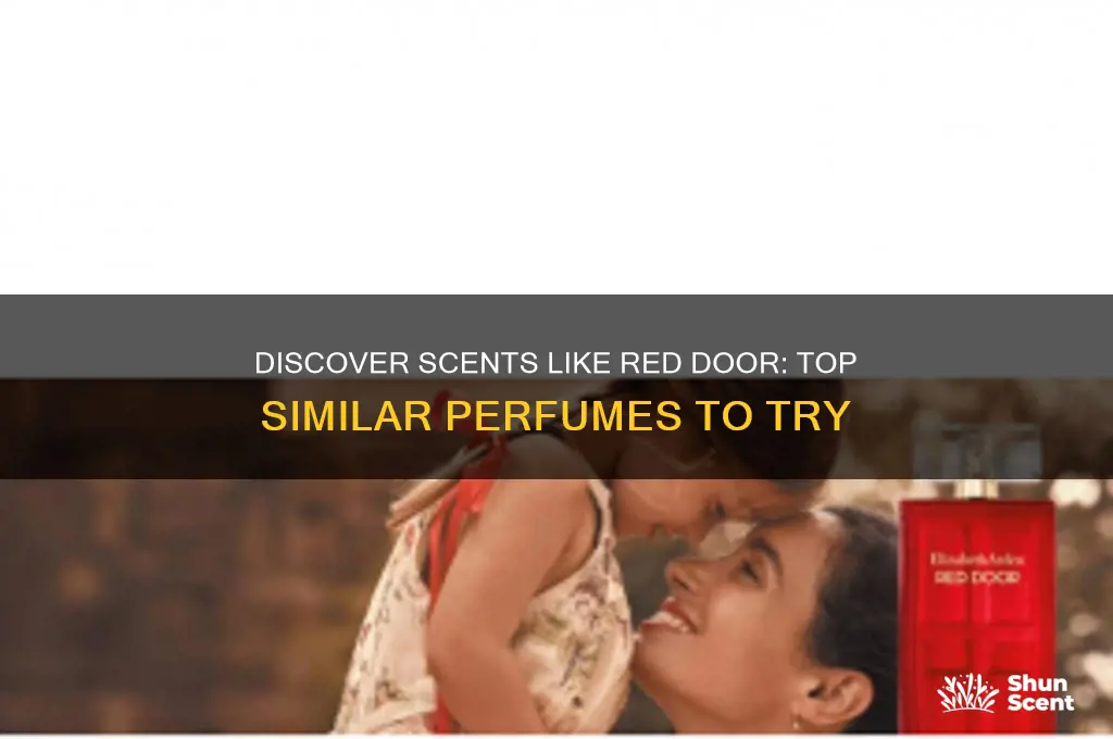 what perfume is similar to red door
