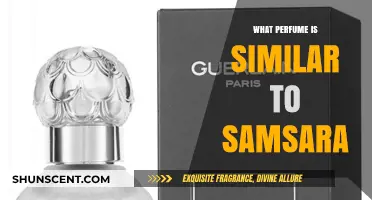 Discover Scents Like Samsara: Top Similar Perfumes to Try