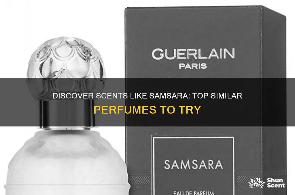 what perfume is similar to samsara