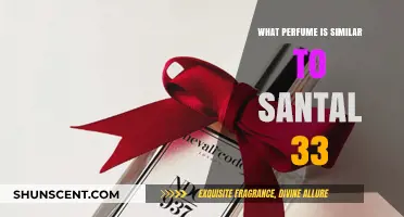 Discover Scents Like Santal 33: Top Woody Aromatic Alternatives