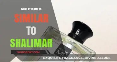 Discover Shalimar's Sensual Sisters: Top Similar Perfumes to Try