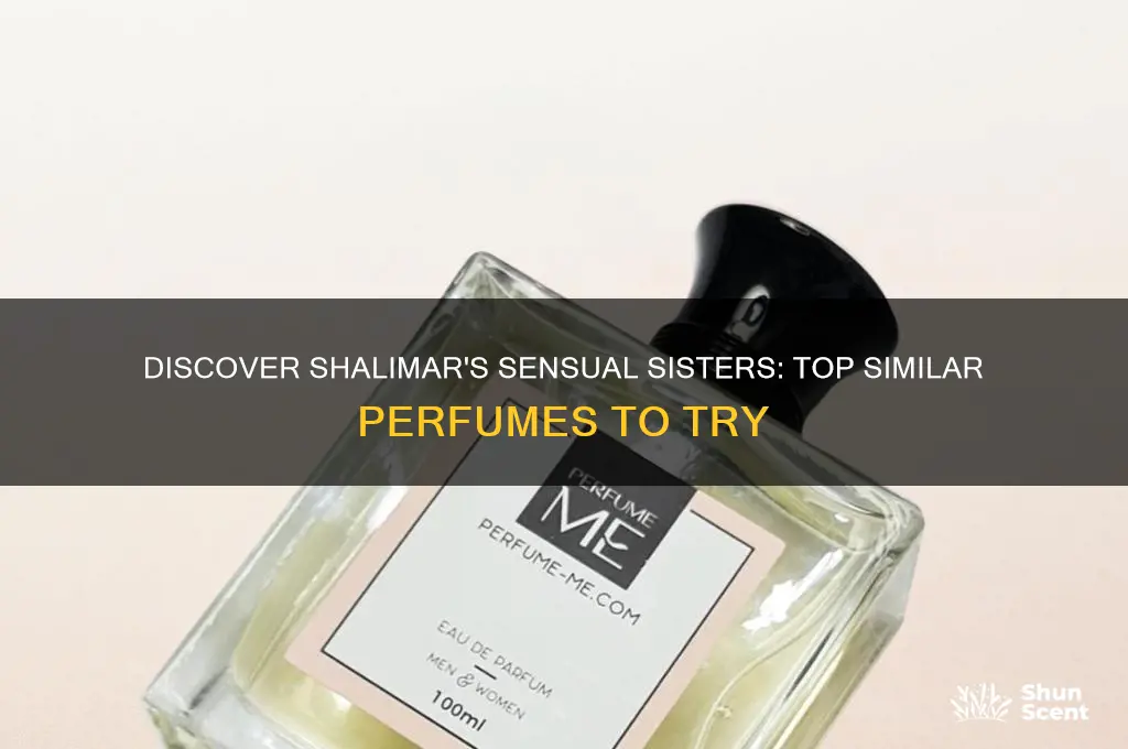 what perfume is similar to shalimar