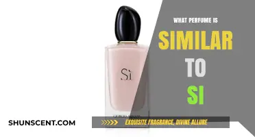 Discover Scents Like Si: Top Similar Perfumes to Try Now