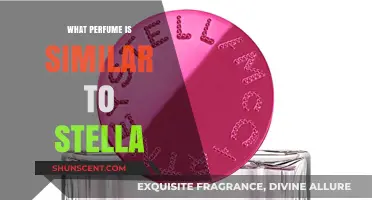 Discover Scents Like Stella: Top Similar Perfumes to Try