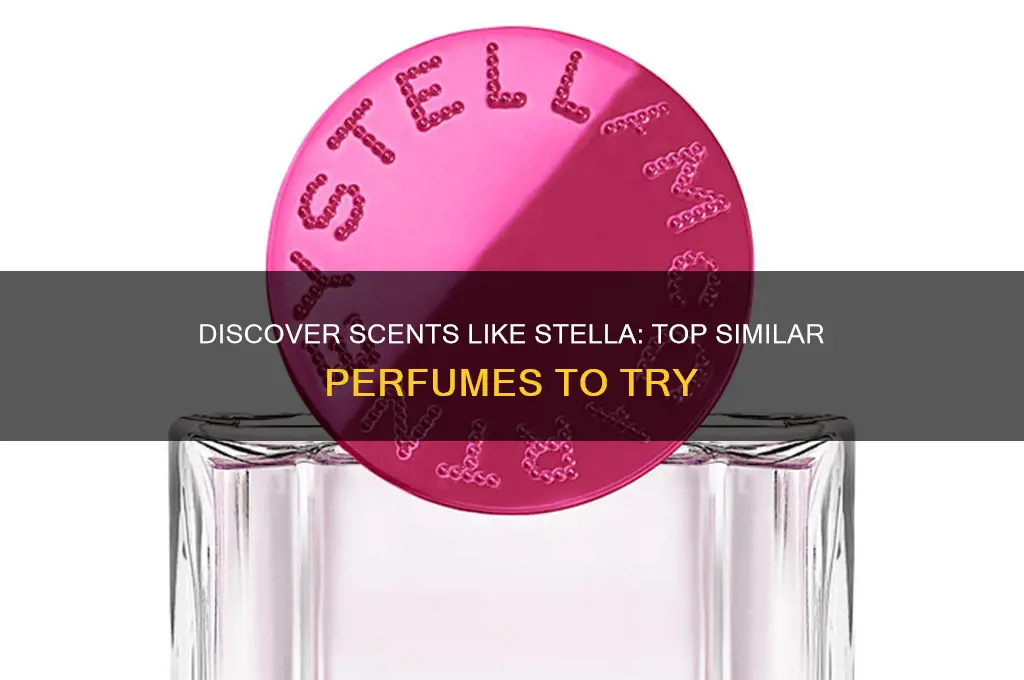 what perfume is similar to stella