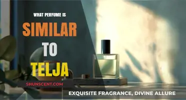 Discover Scents Like Telja: Top Similar Perfumes to Try