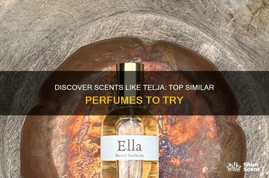 what perfume is similar to telja