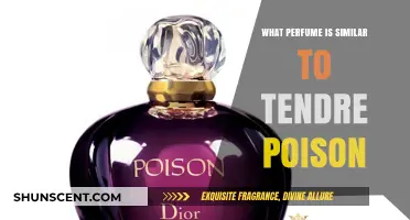 Discover Scents Like Tendre Poison: Top Similar Perfumes to Try