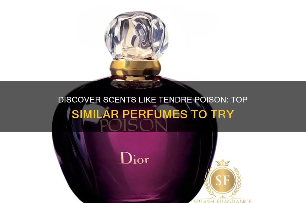 what perfume is similar to tendre poison