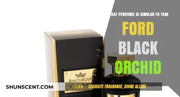 Discover Scents Like Tom Ford Black Orchid: Top Similar Perfumes