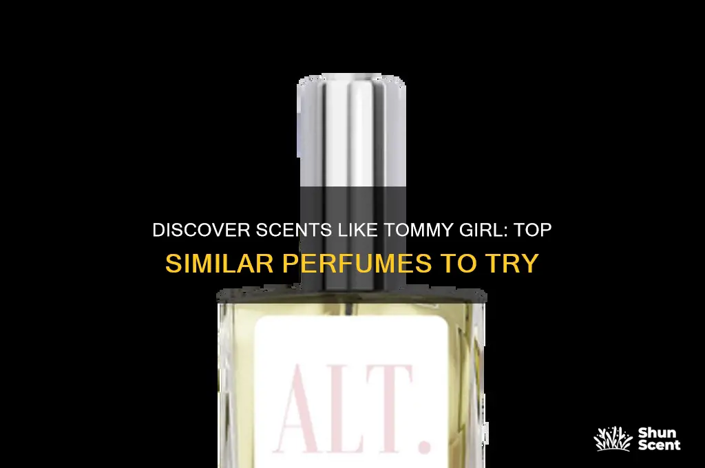 what perfume is similar to tommy girl
