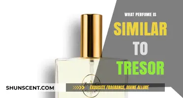 Discover Scents Like Tresor: Top Similar Perfumes to Try