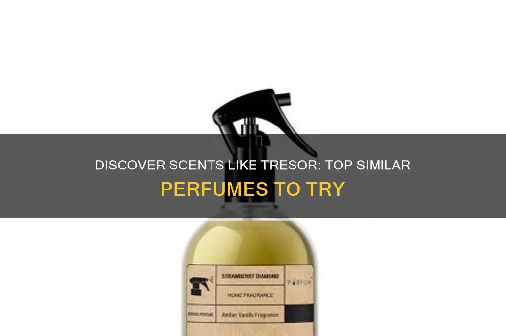 what perfume is similar to tresor