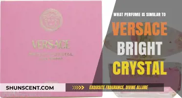 Discover Scents Like Versace Bright Crystal: Top Similar Perfumes