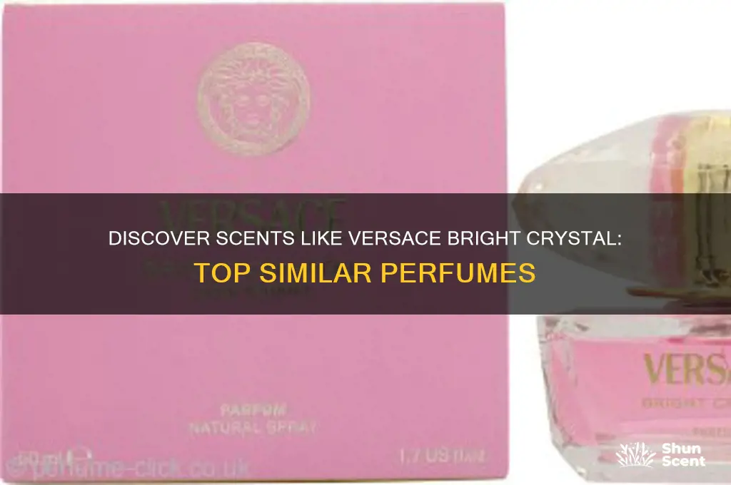 what perfume is similar to versace bright crystal