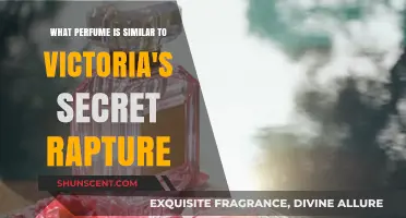 Discover Scents Like Victoria's Secret Rapture: Top Similar Perfumes