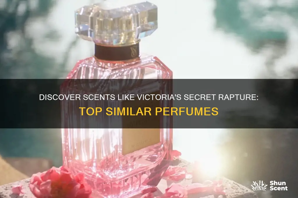 what perfume is similar to victoria