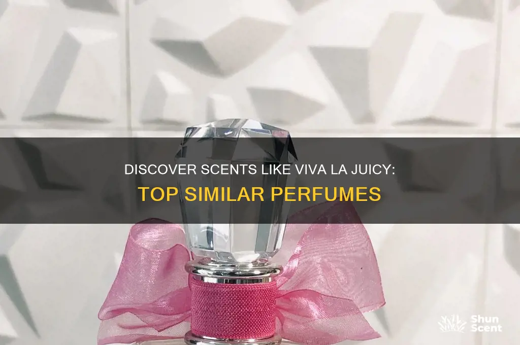 what perfume is similar to viva la juicy
