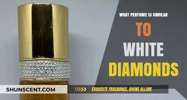 Discover Scents Like White Diamonds: Top Similar Perfumes to Try