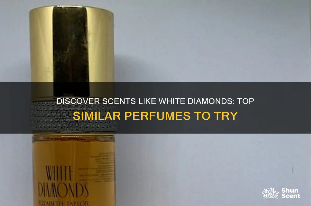 what perfume is similar to white diamonds