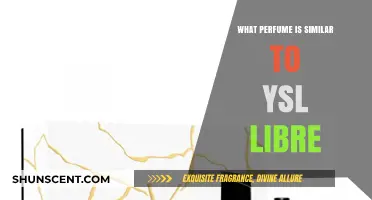 Discover Scents Like YSL Libre: Top Similar Perfumes to Try