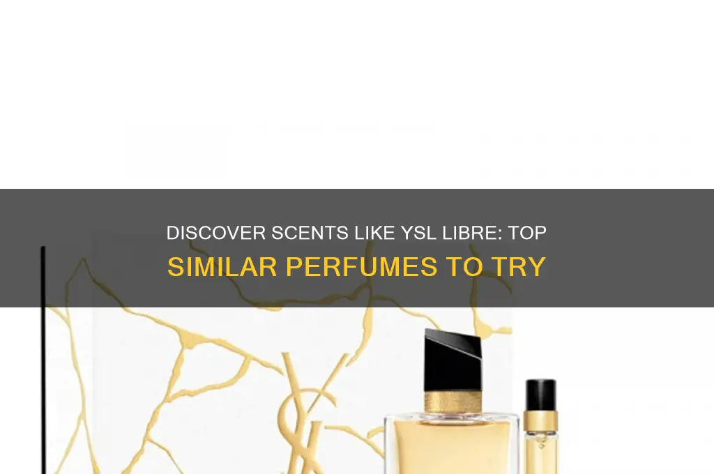 what perfume is similar to ysl libre