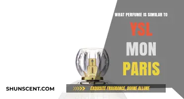 Discover Scents Like YSL Mon Paris: Top Floral Fragrance Alternatives