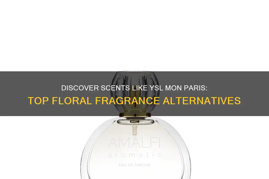 what perfume is similar to ysl mon paris