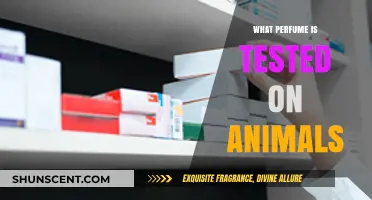 Cruelty-Free Scents: Unveiling Perfumes Tested on Animals