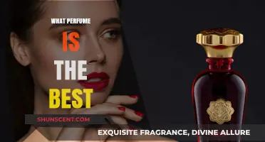 Discover the Ultimate Scent: Top Perfumes to Elevate Your Style