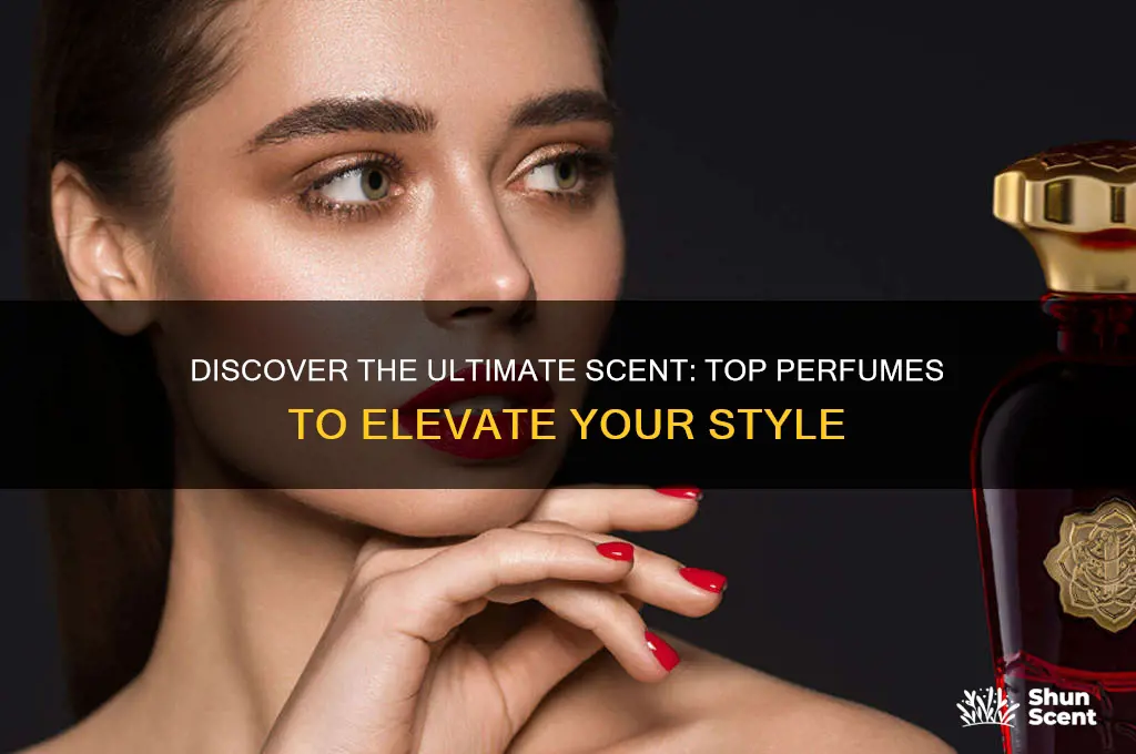 what perfume is the best