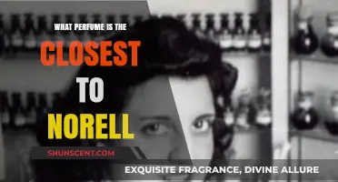 Discover the Perfect Scent: Perfumes Closest to Norell's Signature Fragrance