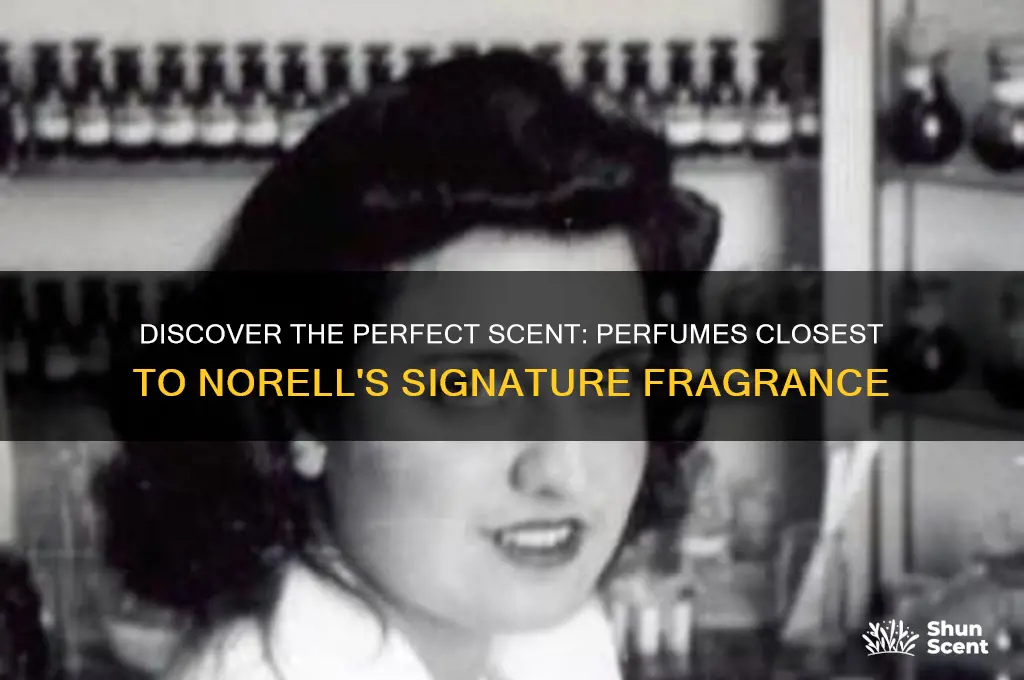 what perfume is the closest to norell