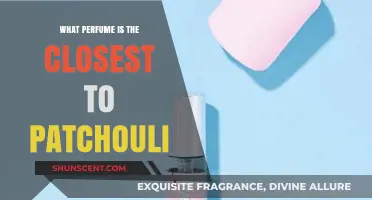 Discover the Best Patchouli-Inspired Perfumes: A Scent Lover's Guide