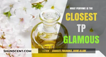 Discover the Ultimate Glamorous Scent: Top Perfumes That Define Luxury