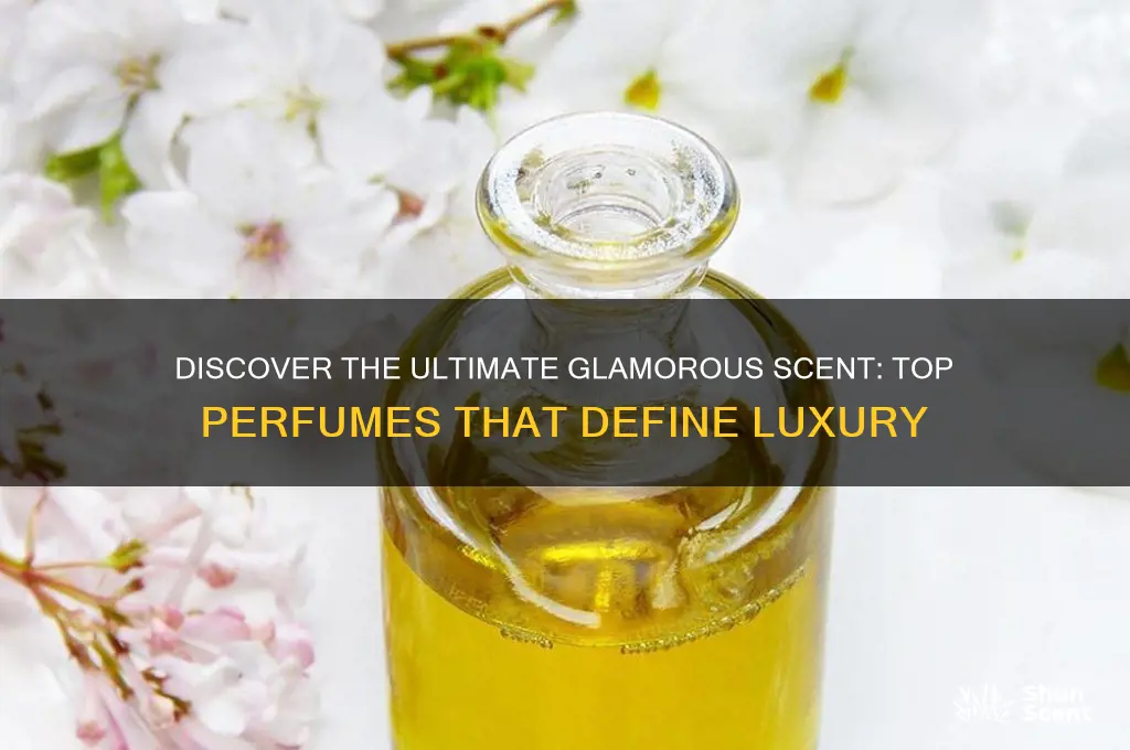 what perfume is the closest tp glamous