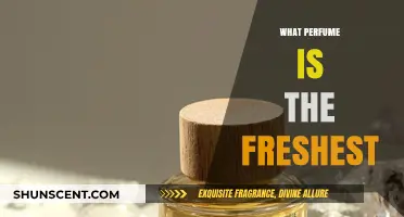 Discover the Freshest Perfumes: Crisp, Clean, and Revitalizing Scents