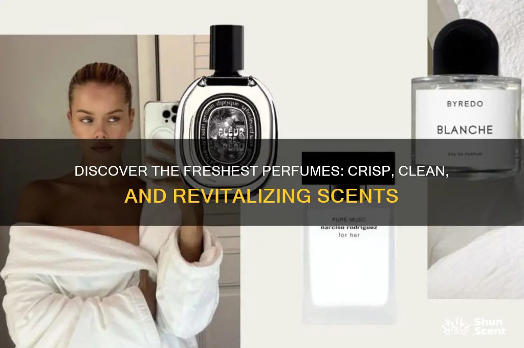 what perfume is the freshest