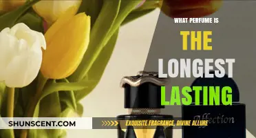 Discover the Longest-Lasting Perfumes for All-Day Scent and Elegance
