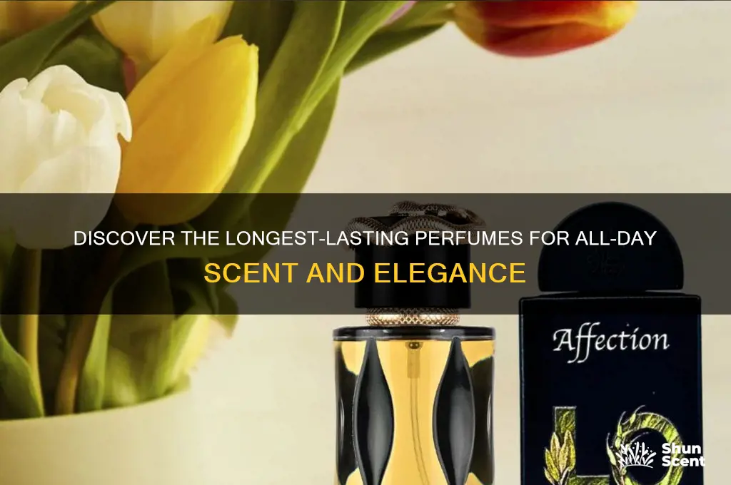 what perfume is the longest lasting